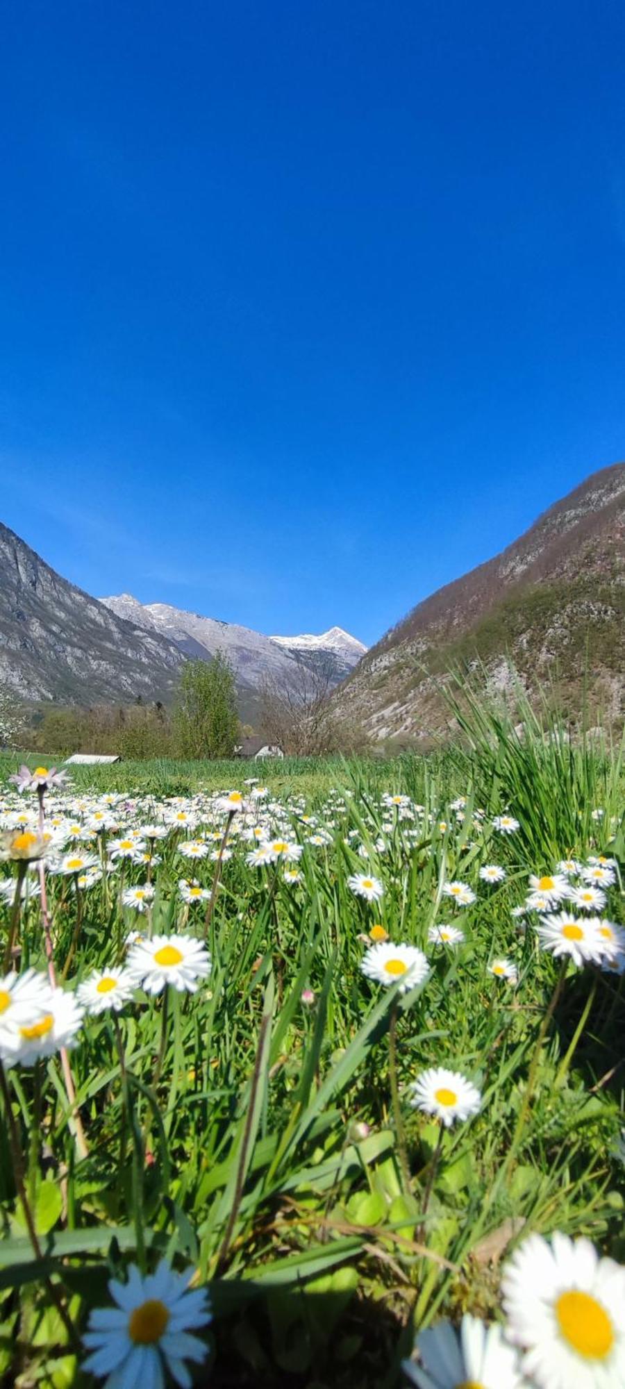 Apartma Soca Oasis Srpenica Esterno foto