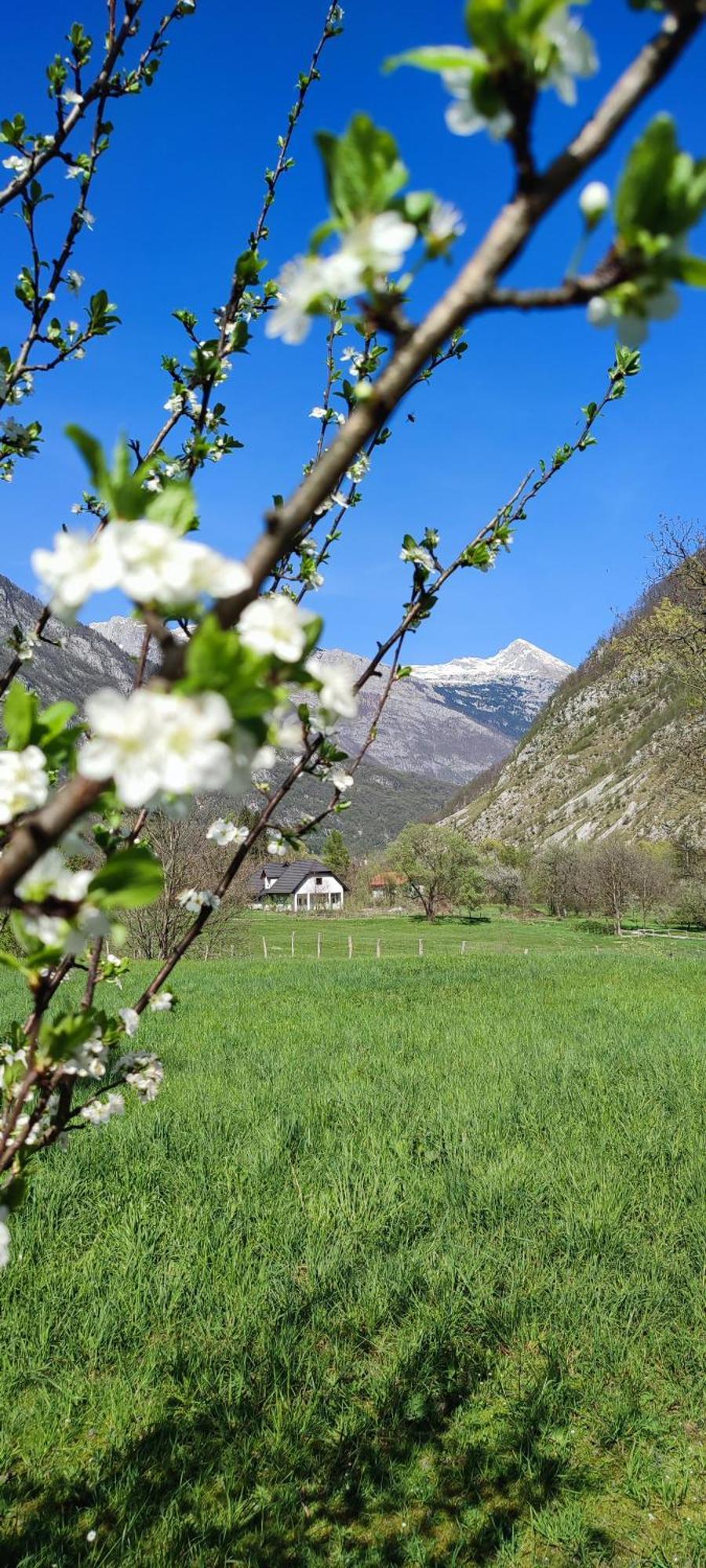 Apartma Soca Oasis Srpenica Esterno foto