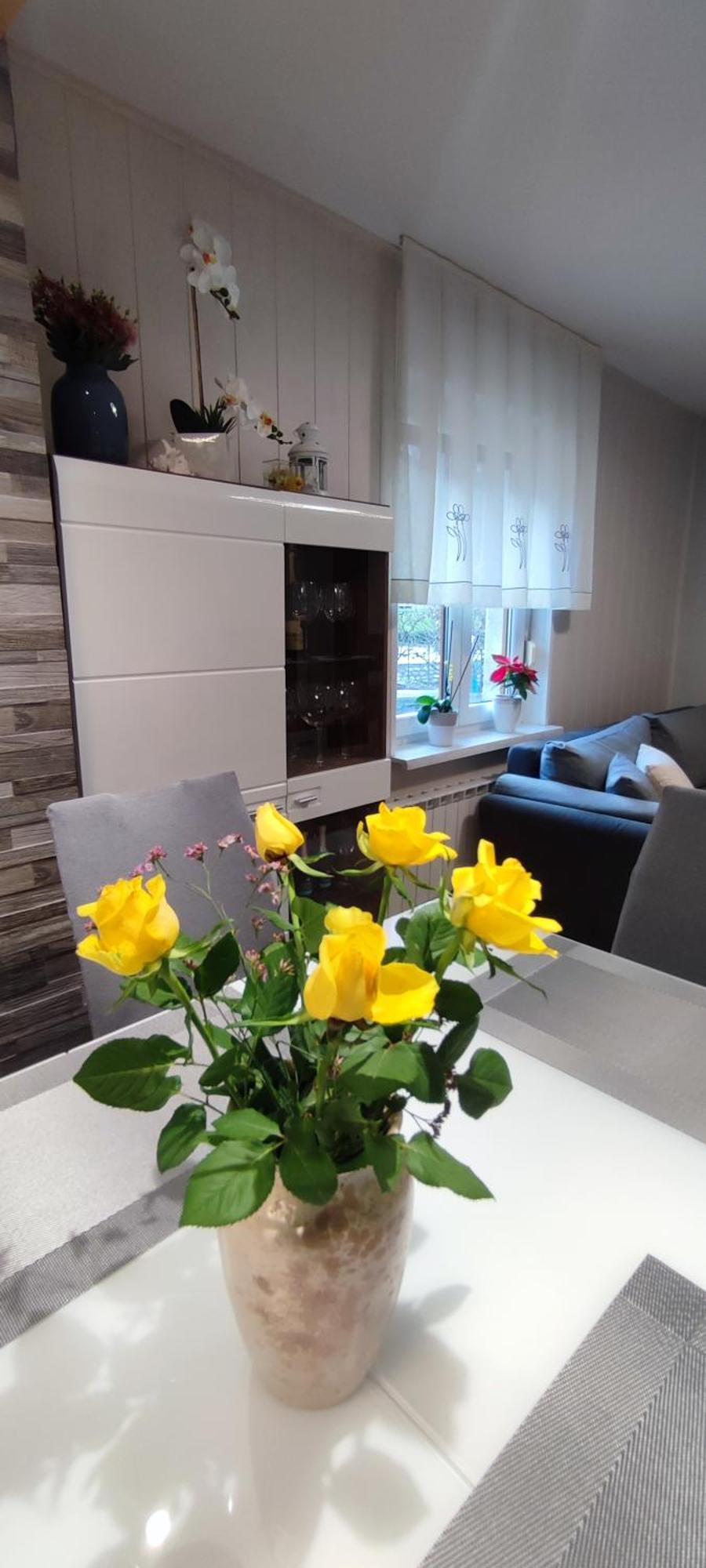Apartma Soca Oasis Srpenica Esterno foto